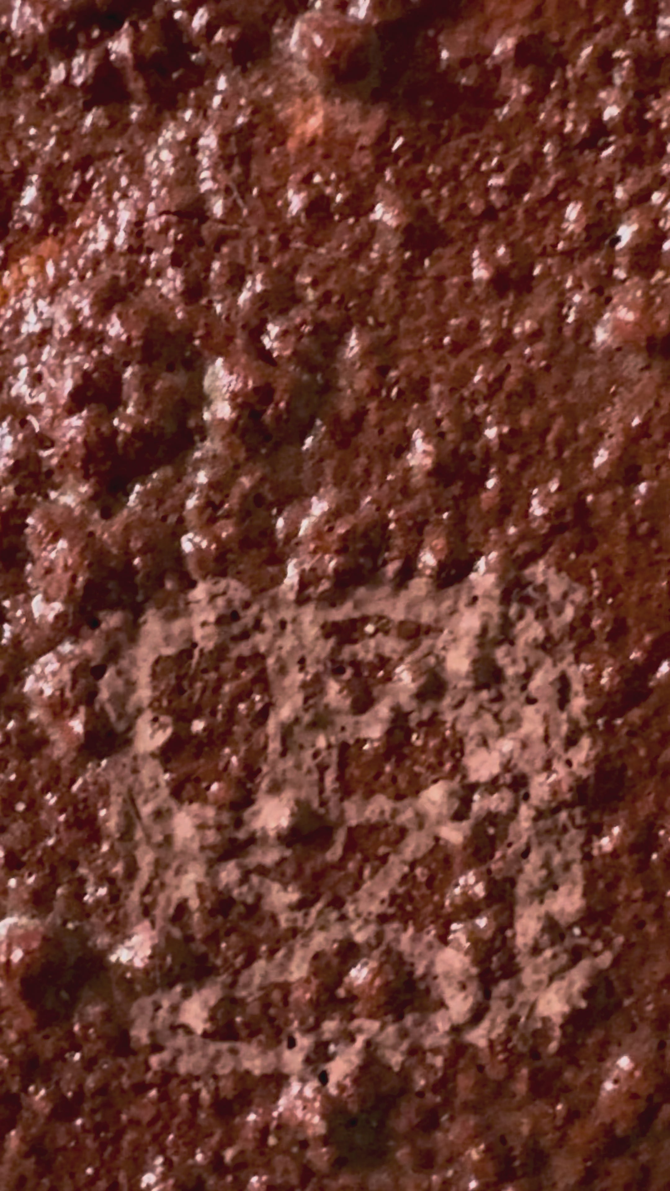 le temps d'une trêve - A time of Truce
