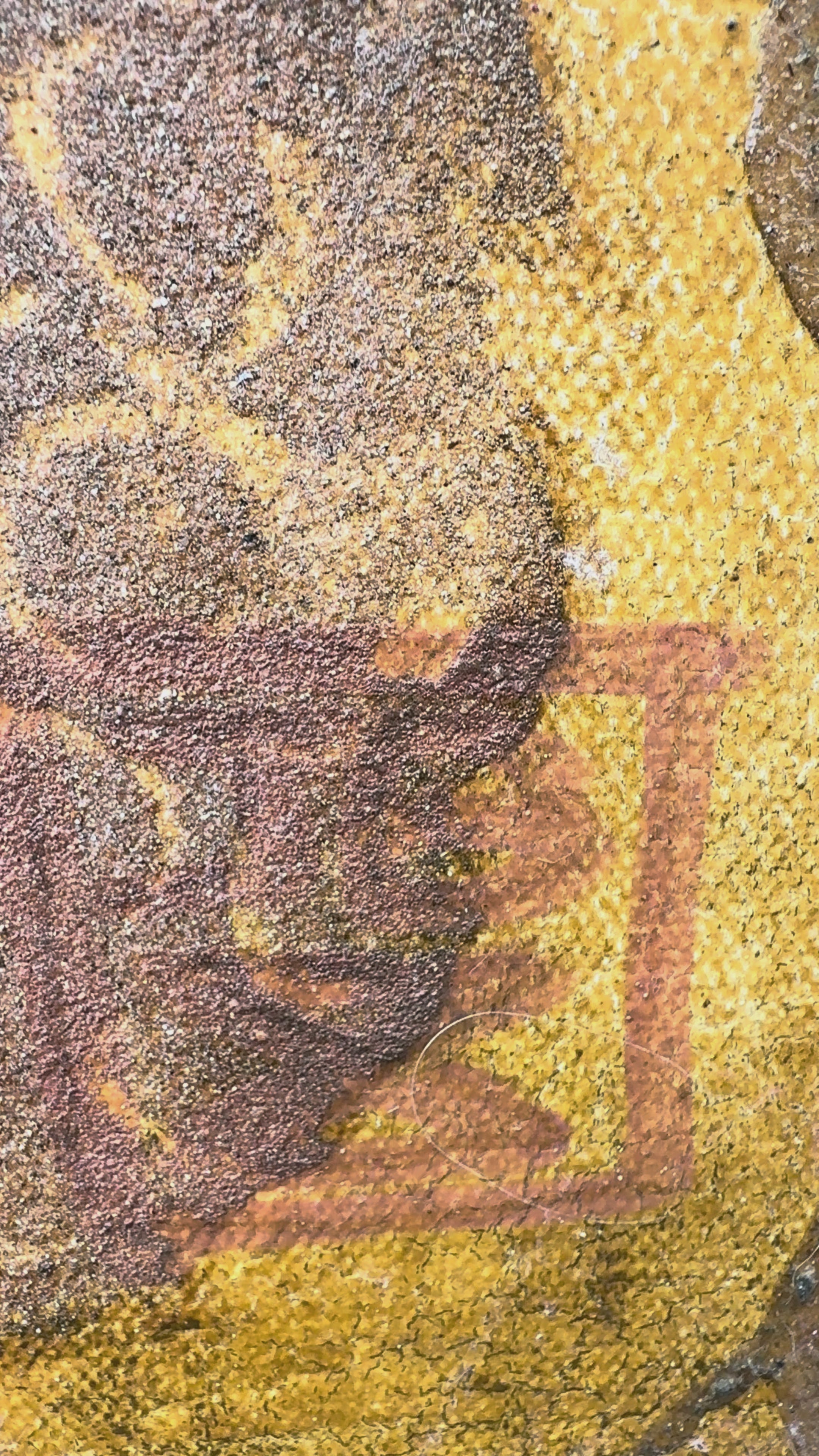 Miel et Terre – Honey and Earth